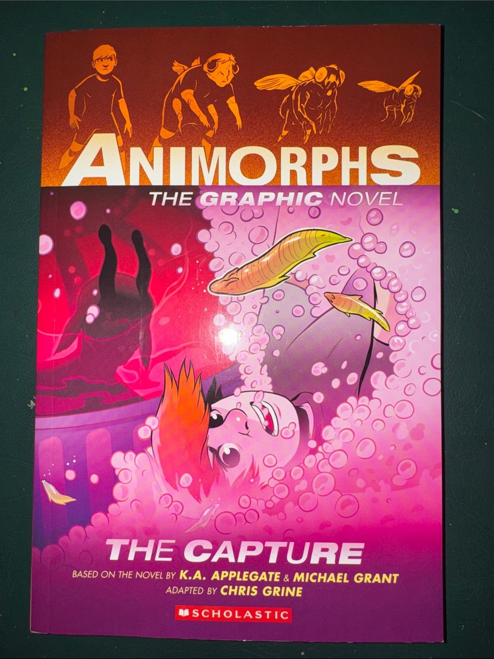 Scholastic Animorphs The Capture Graphic Novel - #6